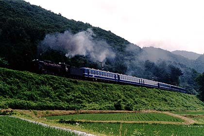 b07sl29.jpg (29561 oCg)