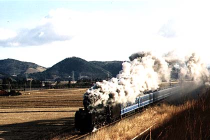b11sl02.jpg (21285 oCg)