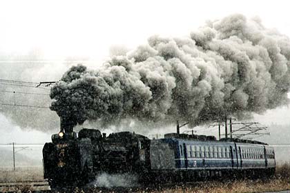 b11sl11.jpg (25683 oCg)