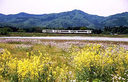 saik0811.jpg (49006 oCg)