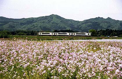 saik0812.jpg (47888 oCg)